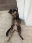 Mimi (2)